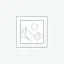 عنصر نائب Placeholder